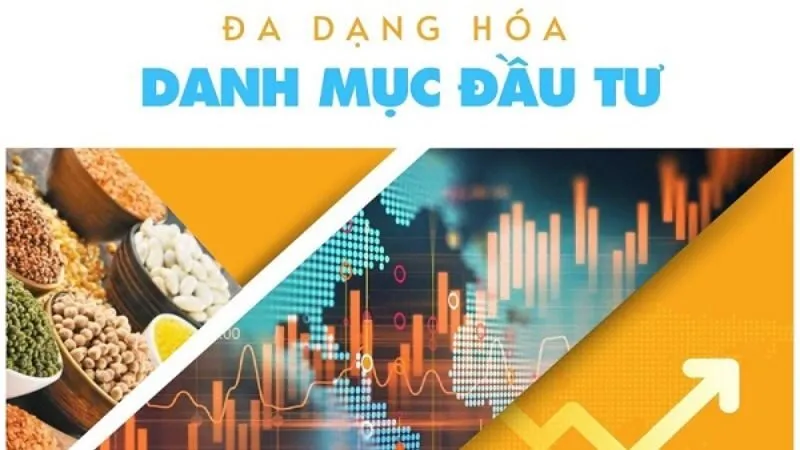 Đa dạng hóa danh mục đầu tư là một chiến lược giúp nhà đầu tư giảm thiểu rủi