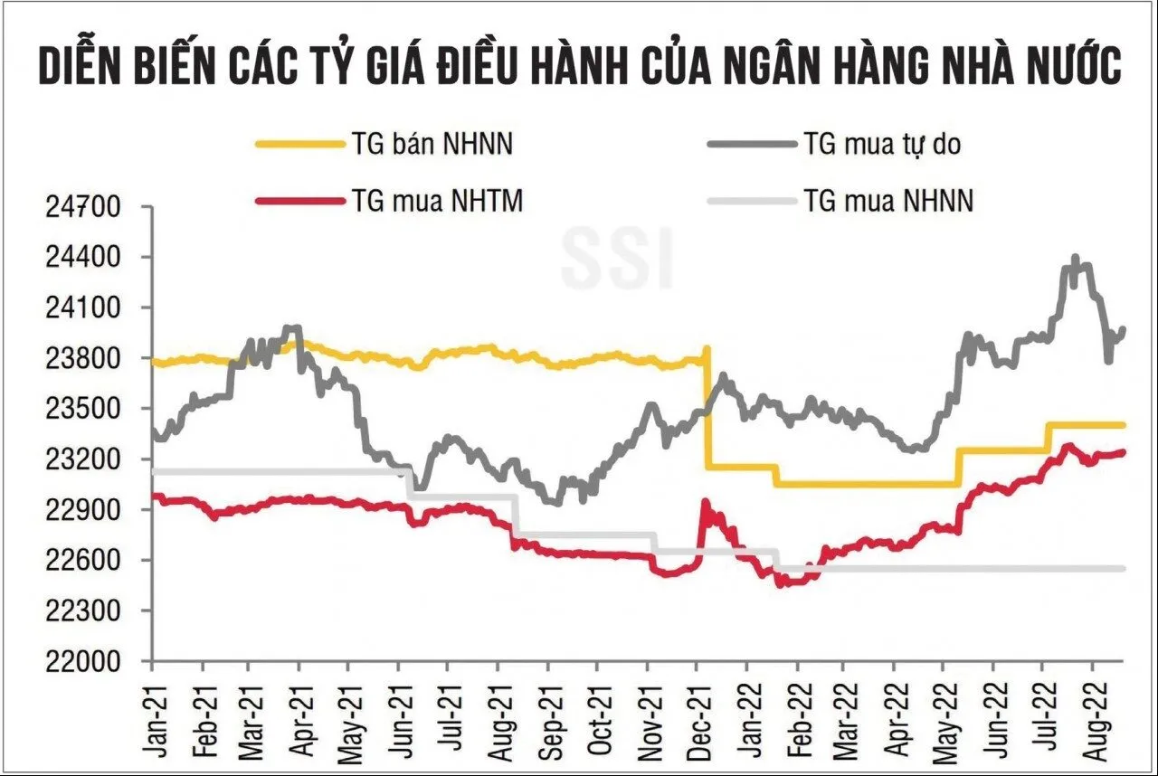 Tỷ giá một yếu tố vô cùng quan trọng trong nền kinh tế toàn cầu